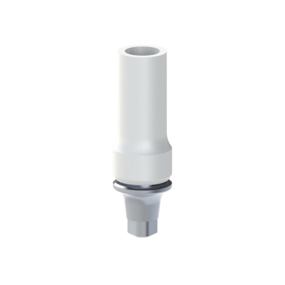 Calcinable CoCr Anthogyr® Axiom® BL