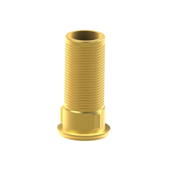 Tibase personnalisable Neodent® Helix® HE