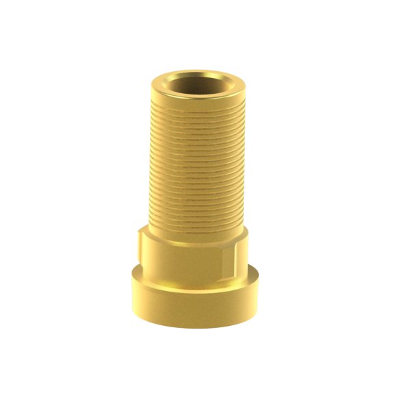 Tibase personnalisable Biomet® 3i® Osseotite®