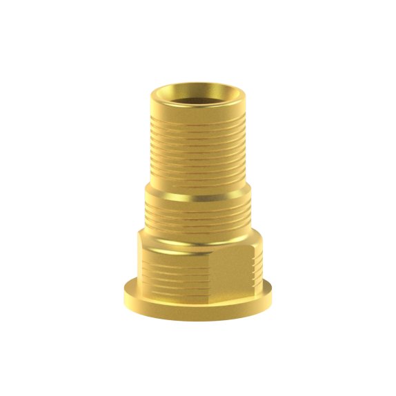 Tibase personnalisable Biomet® 3i® Low Profile Abutment