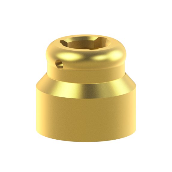 Pilier PSD Biomet® 3i® Low Profile Abutment