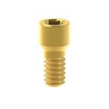 Vis Biomet® 3i® Low Profile Abutment