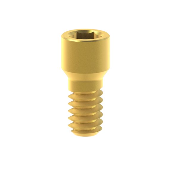 Vis Biomet® 3i® Low Profile Abutment