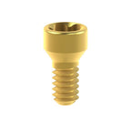 Vis Biomet® 3i® Low Profile Abutment