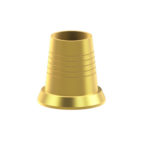Autres produits Zimmer® SwissPlus® - TiBase