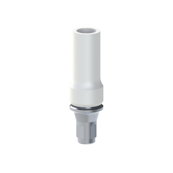 Base CoCr Calcinable Straumann® Bone Level®