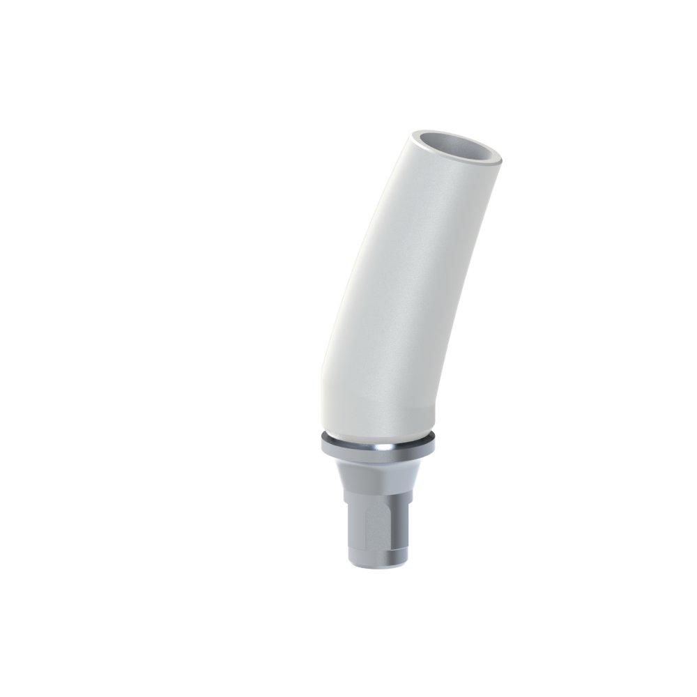 Base CoCr Calcinable Straumann® Bone Level®