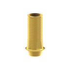 Tibase personalizable Straumann® Bone Level®