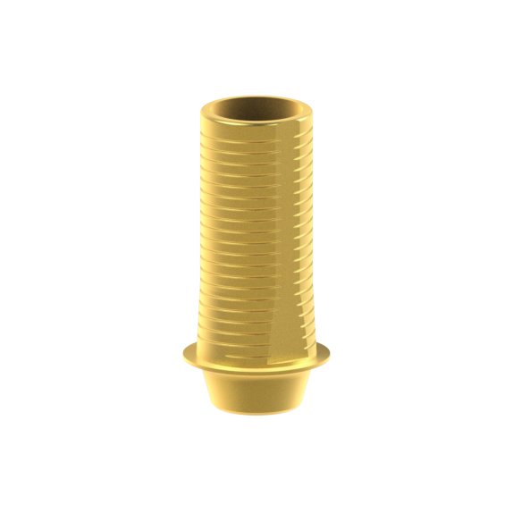 Tibase personnalisable Straumann® Bone Level®