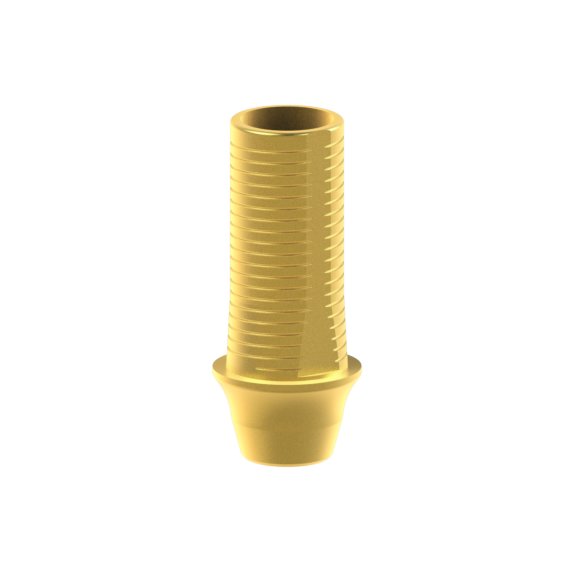 Tibase personnalisable Straumann® Bone Level®