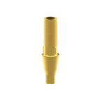 Tibase personalizable Straumann® Bone Level®