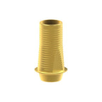 Tibase personalizable Straumann® Bone Level®