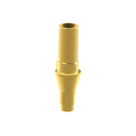 Tibase personalizable Straumann® Bone Level®