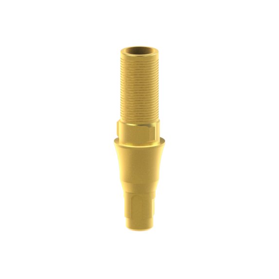 Tibase personalizable Straumann® Bone Level®
