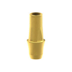 Tibase personalizable Straumann® Bone Level®