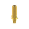 Tibase personnalisable Straumann® BLX®