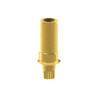 Tibase personnalisable Straumann® BLX®