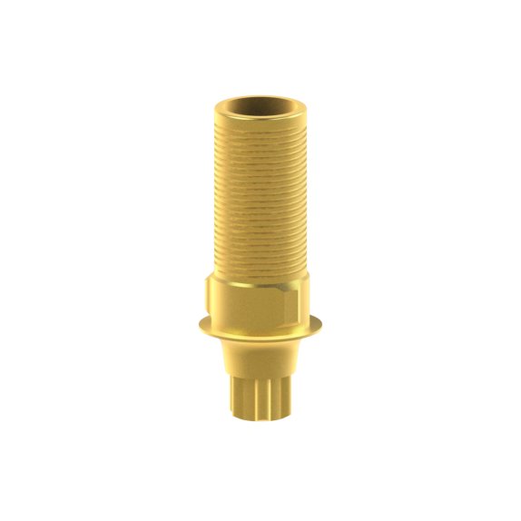 Tibase personnalisable Straumann® BLX®