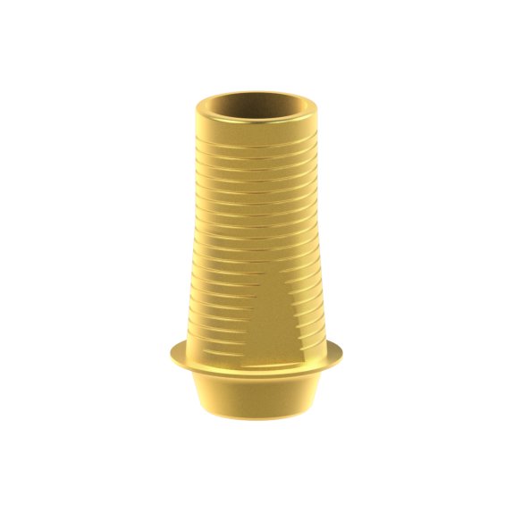 Tibase personnalisable Straumann® BLX®