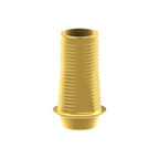 Tibase personnalisable Straumann® BLX®