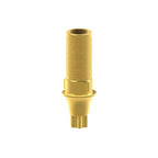 Tibase personnalisable Straumann® BLX®