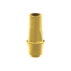 Tibase personnalisable Straumann® BLX®