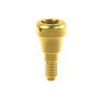 Pilier PSD Straumann® BLX®