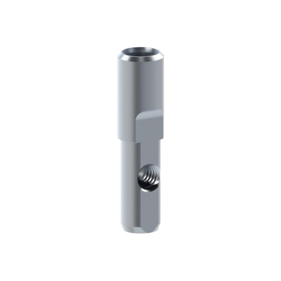 Analogue Straumann® TLX®