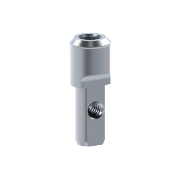 Analogue Straumann® TLX®