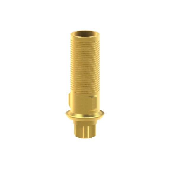 Tibase personnalisable Straumann® TLX®