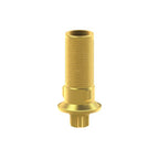 Tibase personalizable Straumann® TLX®
