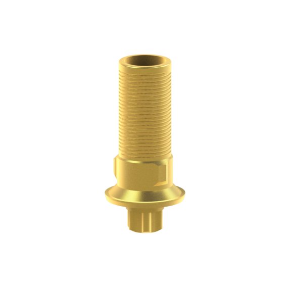 Tibase personnalisable Straumann® TLX®