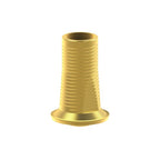 Tibase personalizable Straumann® TLX®