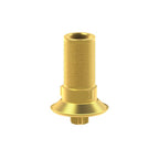 Tibase personalizable Straumann® TLX®
