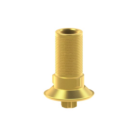 Tibase personnalisable Straumann® TLX®