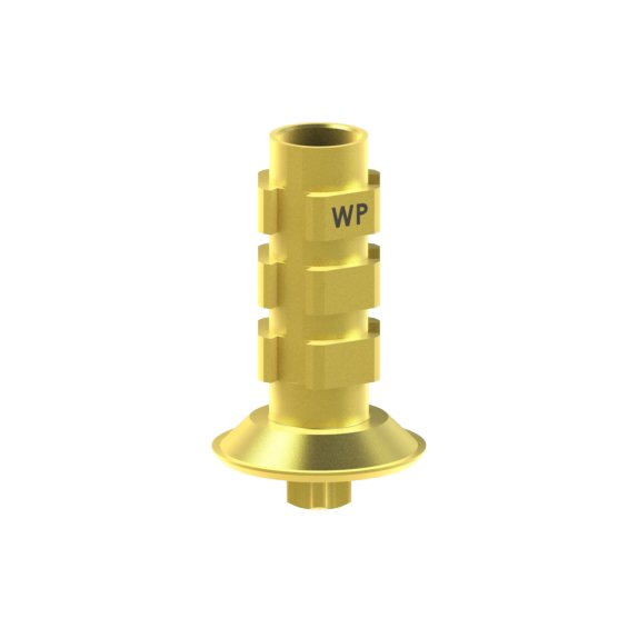 Pilier provisoire/Tranfert Straumann® TLX®