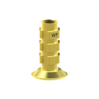 Pilier provisoire/Tranfert Straumann® TLX®