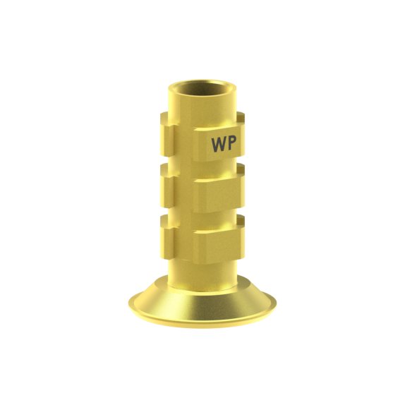 Pilier provisoire/Tranfert Straumann® TLX®