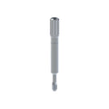 Pilar provisional/Transfer Straumann® TLX® - Tornillo largo
