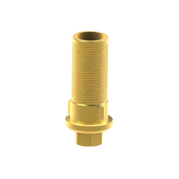 Tibase personnalisable Zimmer® Screw Vent®