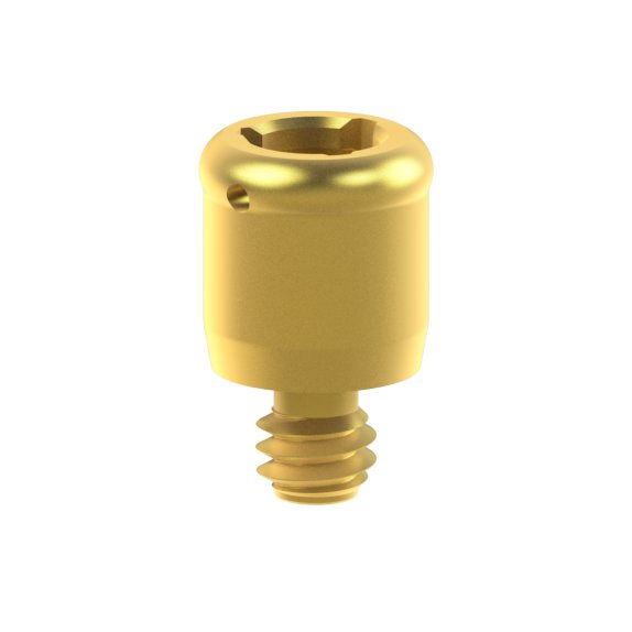 Pilier PSD BTI® Externa