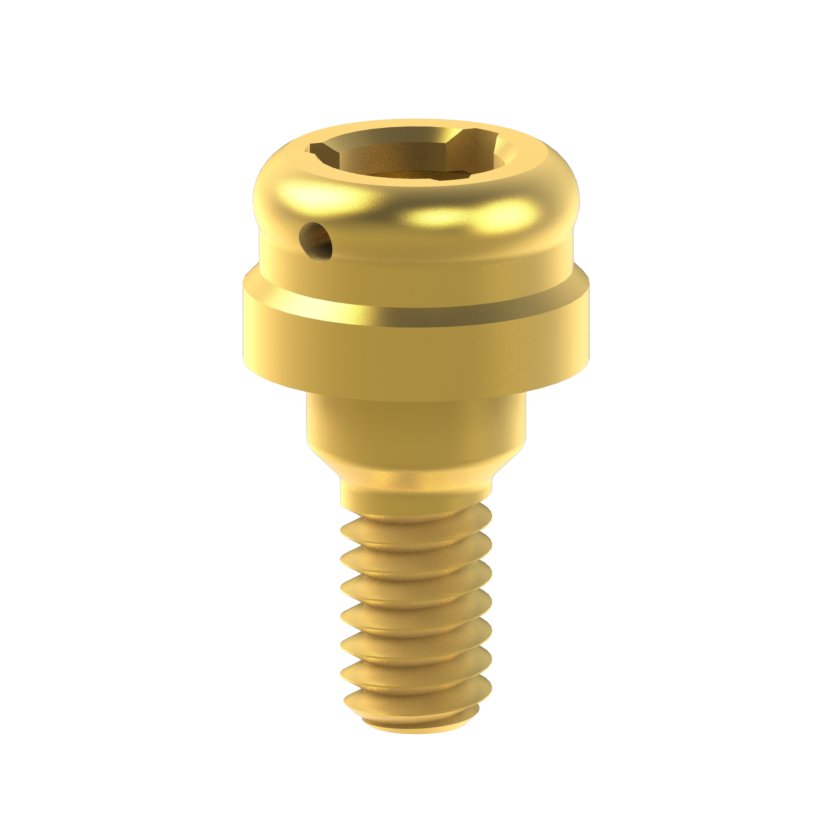 Pilier PSD BTI® Interna
