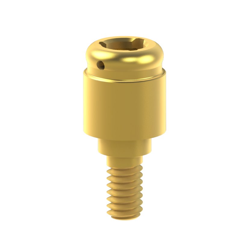 Pilier PSD BTI® Interna