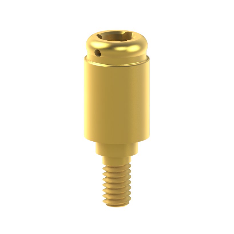 Pilier PSD BTI® Interna