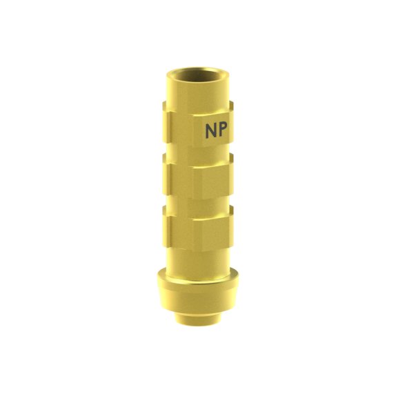 Pilier provisoire/Tranfert BTI® Core®