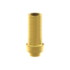 Tibase personnalisable Dentsply® Xive® Friadent®