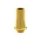 Tibase personnalisable Dentsply® Xive® Friadent®