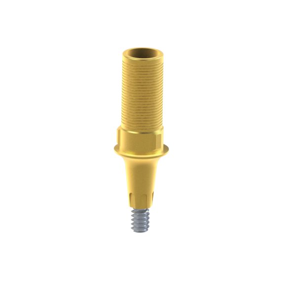 Tibase personnalisable Dentsply® Ankylos®