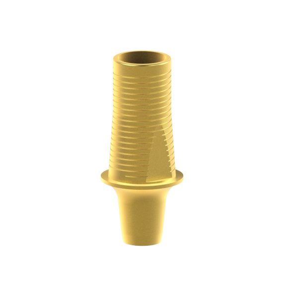 Tibase personnalisable Dentsply® Ankylos®
