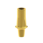 Tibase personnalisable Dentsply® Ankylos®
